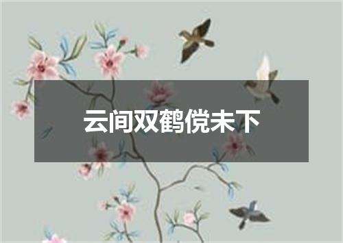 云间双鹤傥未下