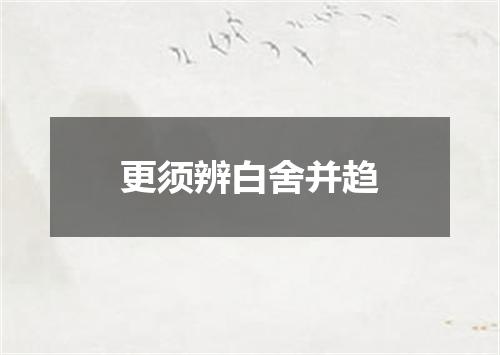 更须辨白舍并趋