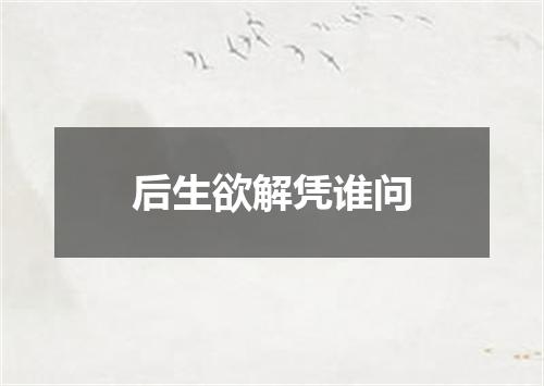 后生欲解凭谁问
