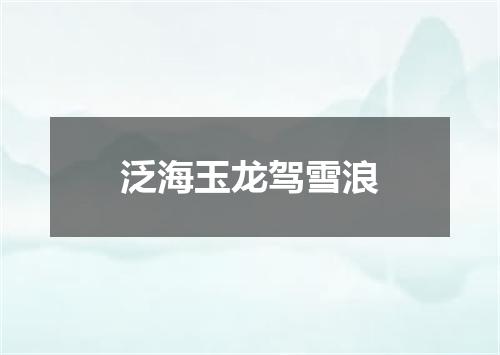 泛海玉龙驾雪浪