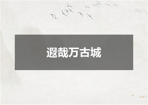 遐哉万古城