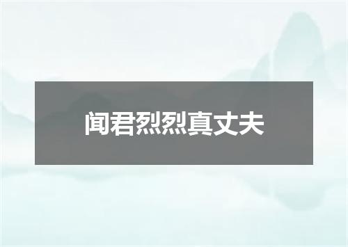 闻君烈烈真丈夫
