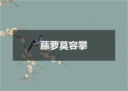 藤萝莫容攀