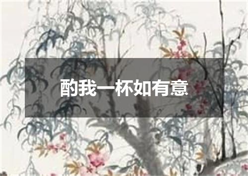 酌我一杯如有意