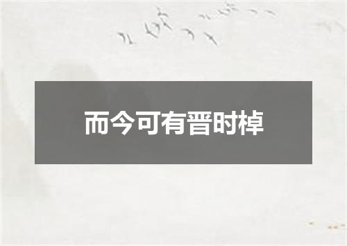 而今可有晋时棹
