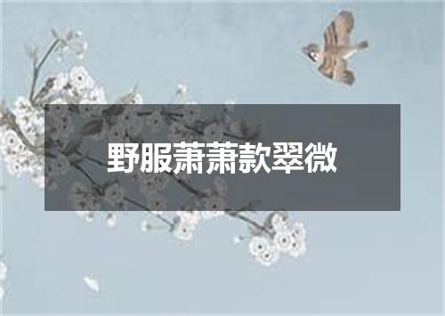 野服萧萧款翠微