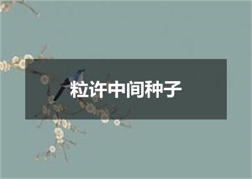 粒许中间种子