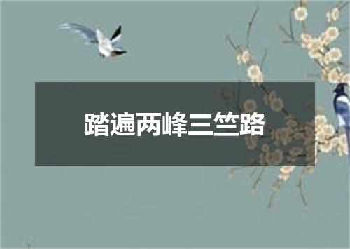 踏遍两峰三竺路