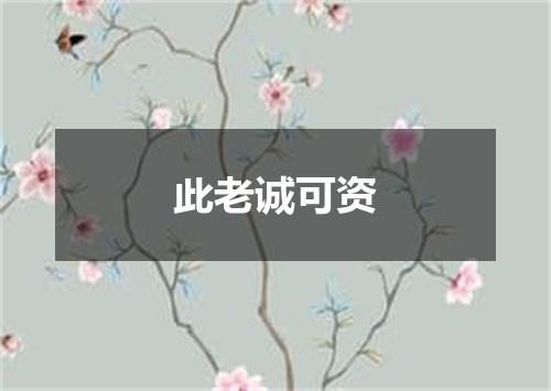 此老诚可资