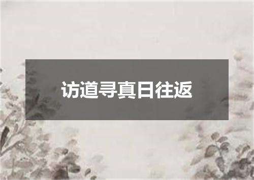 访道寻真日往返