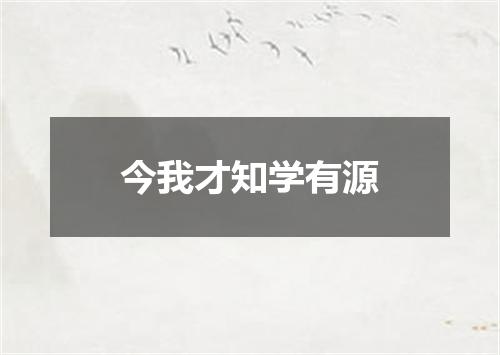 今我才知学有源