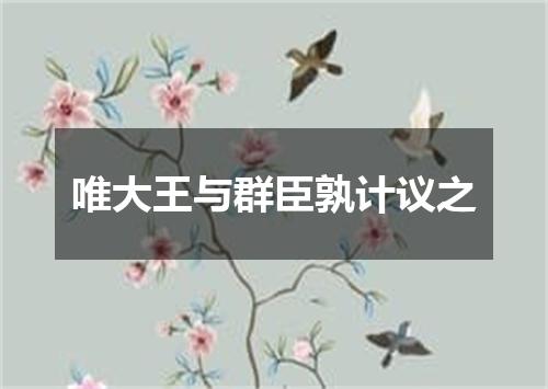 唯大王与群臣孰计议之