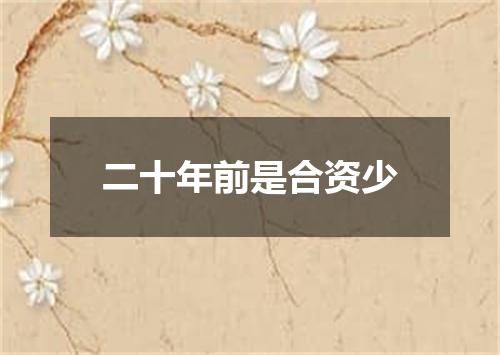 二十年前是合资少
