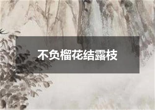 不负榴花结露枝