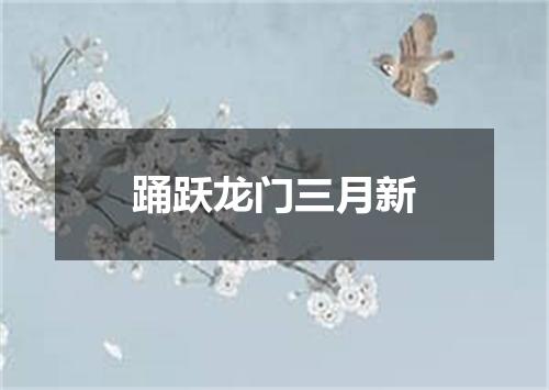 踊跃龙门三月新