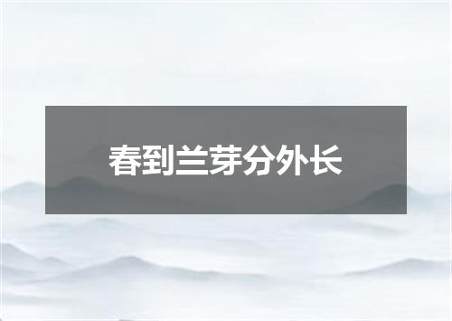 春到兰芽分外长
