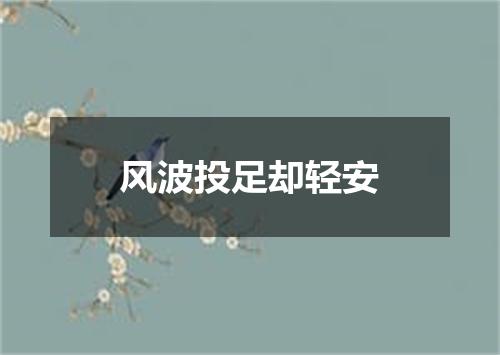 风波投足却轻安