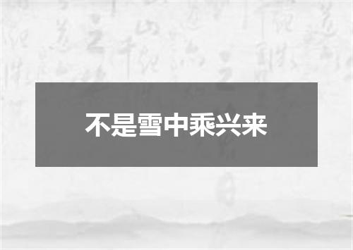 不是雪中乘兴来
