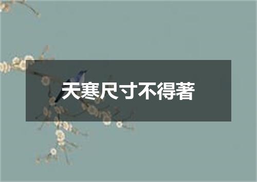 天寒尺寸不得著