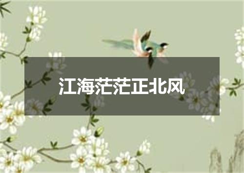 江海茫茫正北风