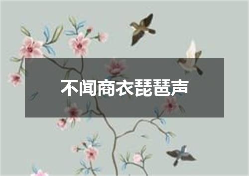 不闻商衣琵琶声