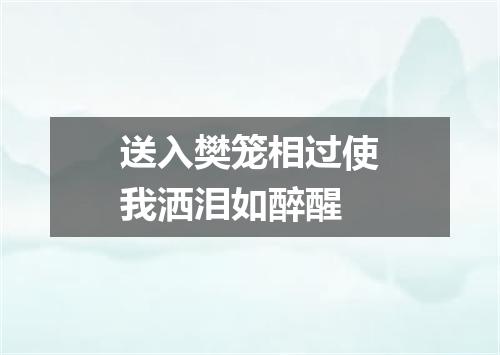 送入樊笼相过使我洒泪如醉醒