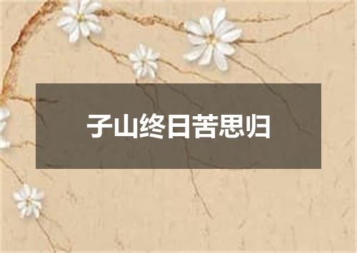 子山终日苦思归