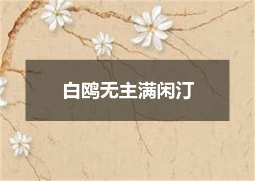 白鸥无主满闲汀