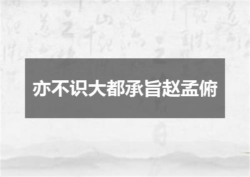 亦不识大都承旨赵孟俯