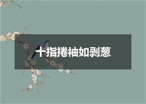 十指捲袖如剥葱