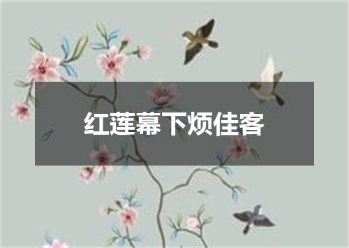红莲幕下烦佳客