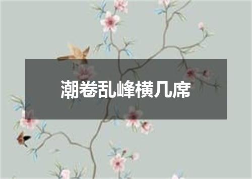 潮卷乱峰横几席