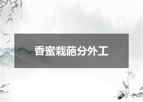香蜜栽葩分外工