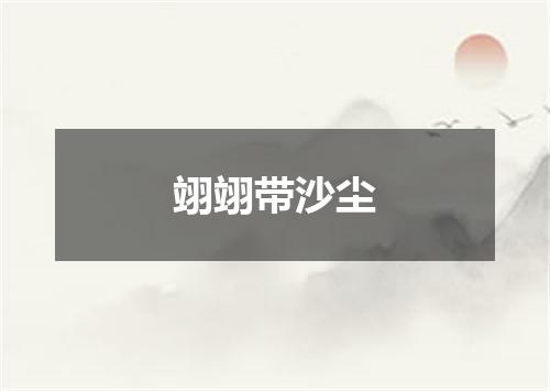 翊翊带沙尘