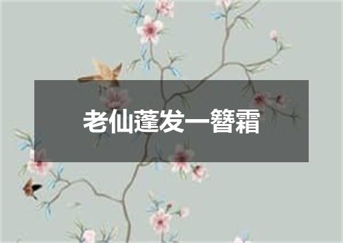 老仙蓬发一簪霜