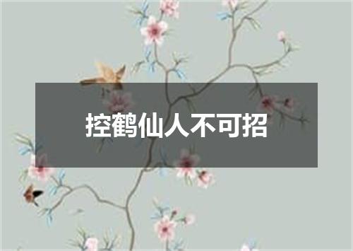 控鹤仙人不可招