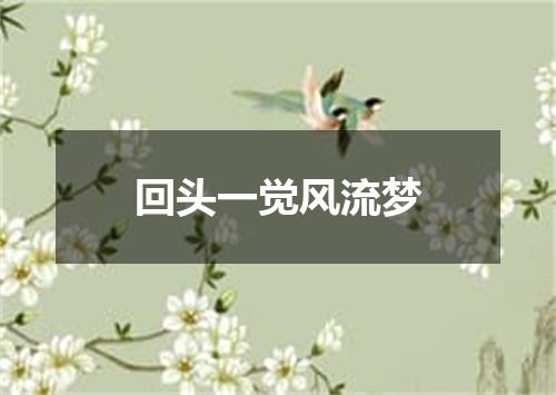 回头一觉风流梦
