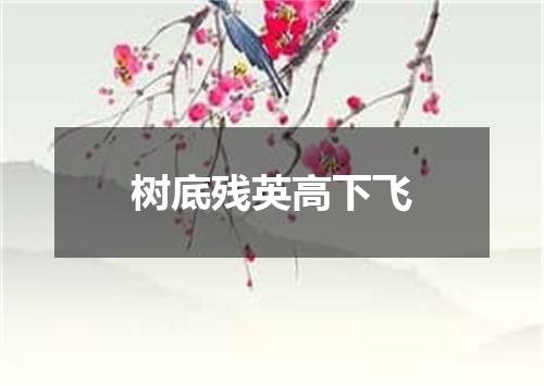 树底残英高下飞
