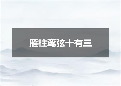 雁柱鸾弦十有三