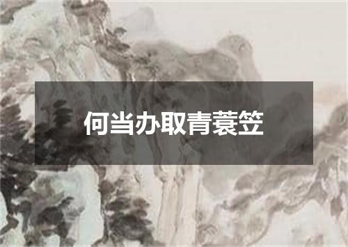 何当办取青蓑笠