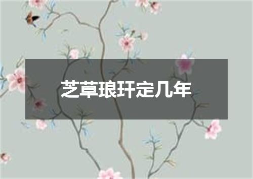 芝草琅玕定几年