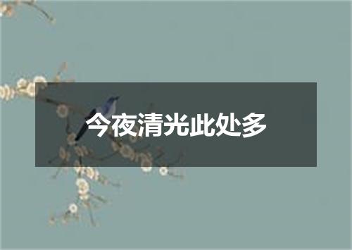 今夜清光此处多