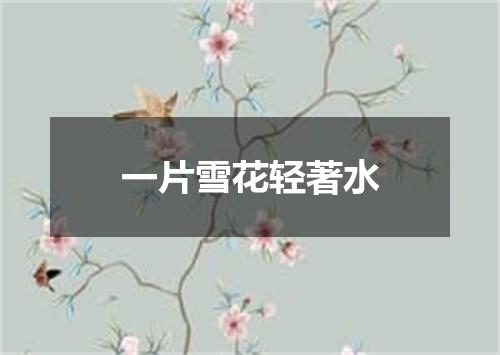 一片雪花轻著水