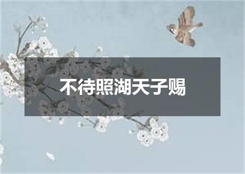 不待照湖天子赐