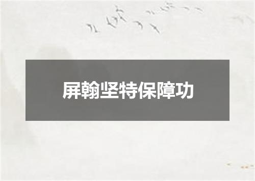 屏翰坚特保障功