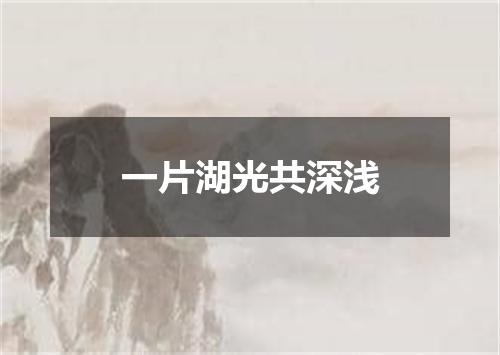 一片湖光共深浅