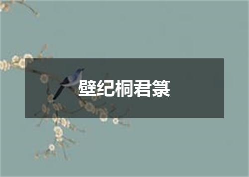 壁纪桐君箓