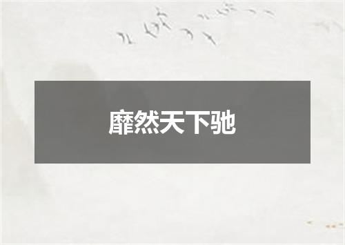靡然天下驰