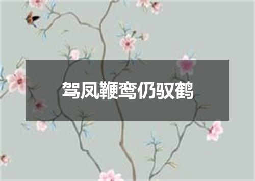 驾凤鞭鸾仍驭鹤