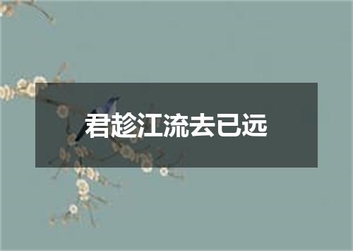 君趁江流去已远